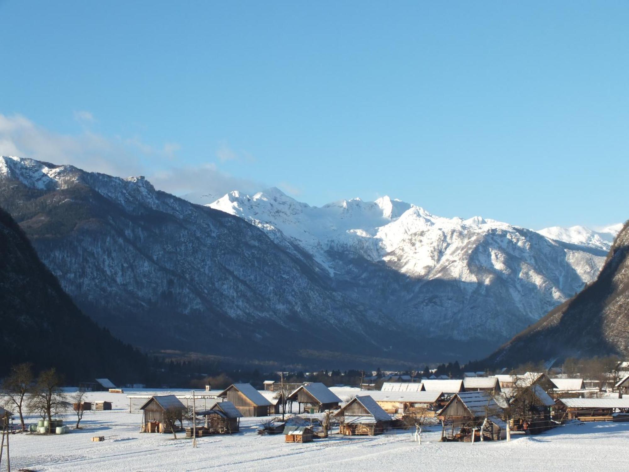 Apartment Tina Bohinj Quarto foto